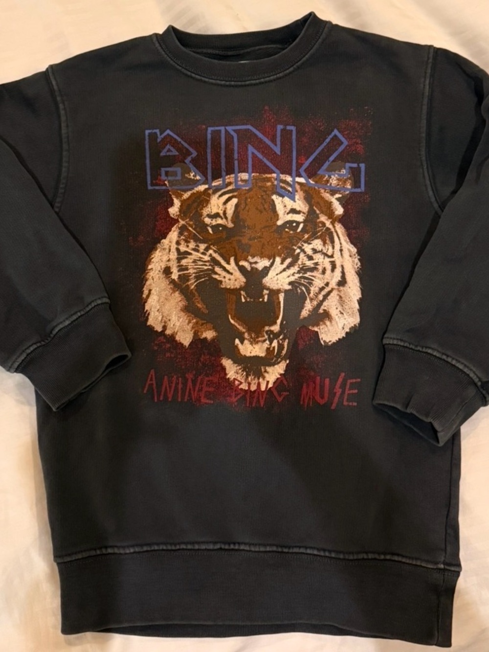 Anine Bing KIDS Muse Graphic Sweatshirt 🐅 - Picture 2 of 5